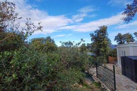 Istra, Peruški okolica, šuma blizu mora