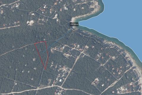 Istra, Peruški okolica, šuma blizu mora