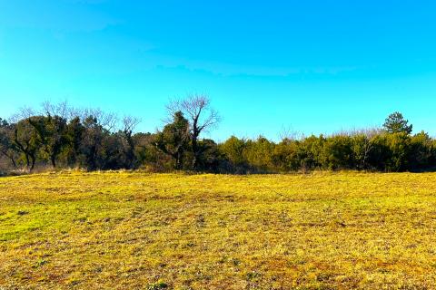 Istra,Umag-građevinsko zemljište višestambena namjena