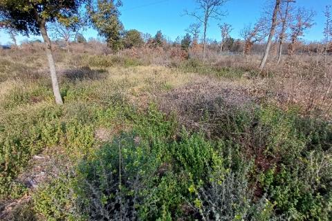 Istra, Peroj, 2 parcele kod Batvača