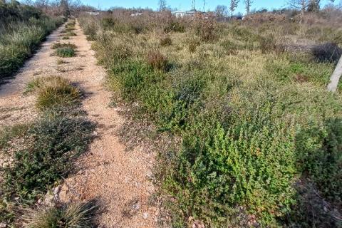 Istra, Peroj, 2 parcele kod Batvača