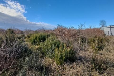 Istra, Peroj, 2 parcele kod Batvača