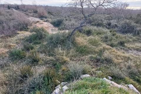 Istra, Peroj, 2 parcele kod Batvača