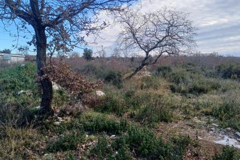 Istra, Peroj, 2 parcele kod Batvača