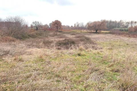 Istra,Umag,okolica,poljoprivredno zemljište