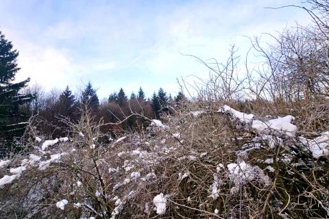 Gradbena parcela, Gorski Kotar, 758 m², Brod Moravice 