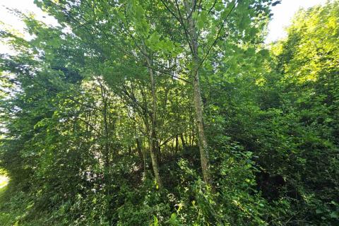 Stavbno zemljišče Vrbovsko, 1.000m2