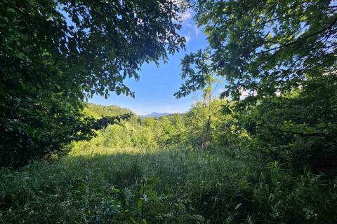 Stavbno zemljišče Vrbovsko, 1.000m2