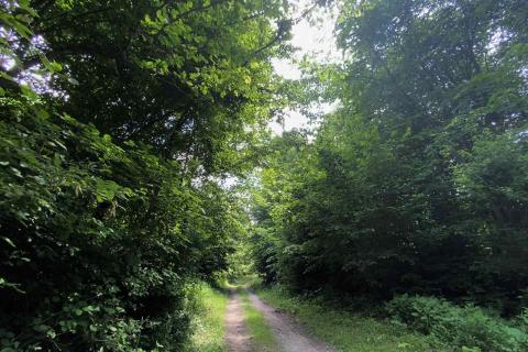 Stavbno zemljišče Vrbovsko, 1.000m2