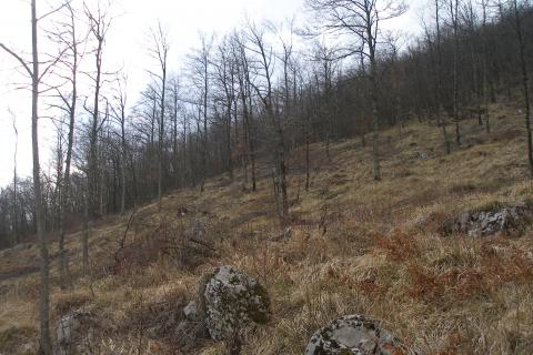 Building plot Veprinac, Opatija - Okolica, 9.120m2