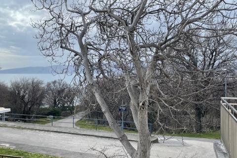 Novi Vinodolski,okolica,dvojna kuća,281 m2,90 m od mora!