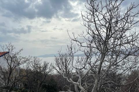 Novi Vinodolski,okolica,dvojna kuća,281 m2,90 m od mora!