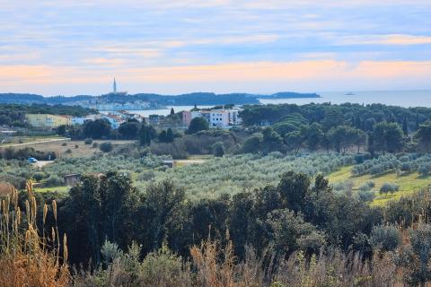 Rovinj - zemljište s pogledom na stari grad i more 12.000m2