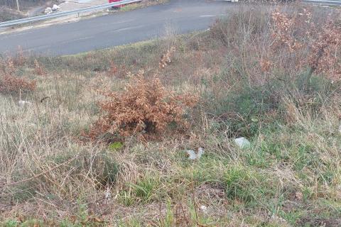 Stavbno zemljišče Tuliševica, Lovran, 601m2