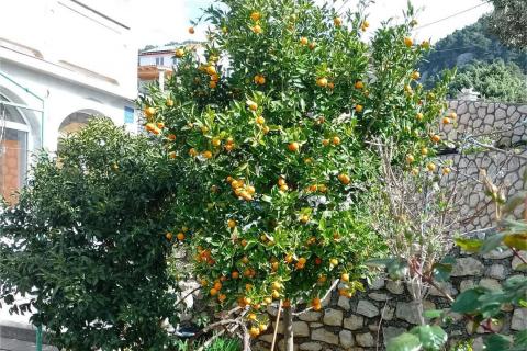 Дом Banjol, Rab, 480m2