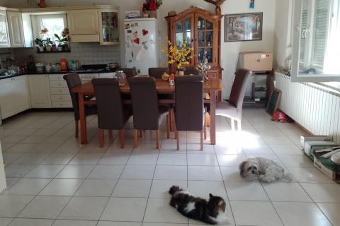 Дом Banjol, Rab, 480m2