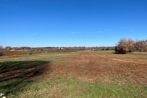 Istra, Vabriga, građevinsko zemljište za gradnju vila T2