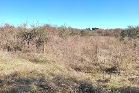 Земельный участок нестроительного назначения Baderna, Poreč, 14,18m2