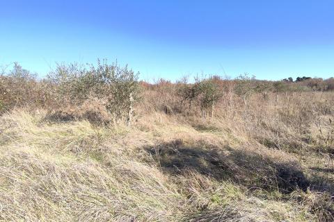 Земельный участок нестроительного назначения Baderna, Poreč, 14,18m2