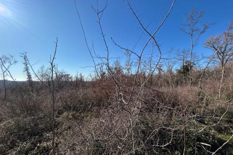 Poreč- okolica, poljoprivredno zemljište veličine 17353 m2