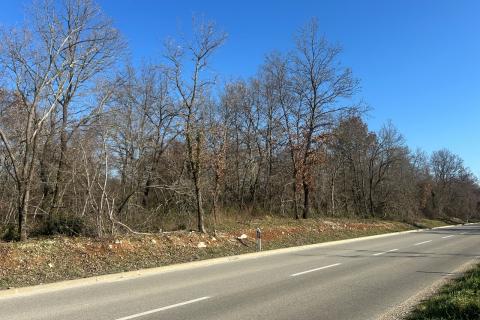 Poreč- okolica, poljoprivredno zemljište veličine 17353 m2