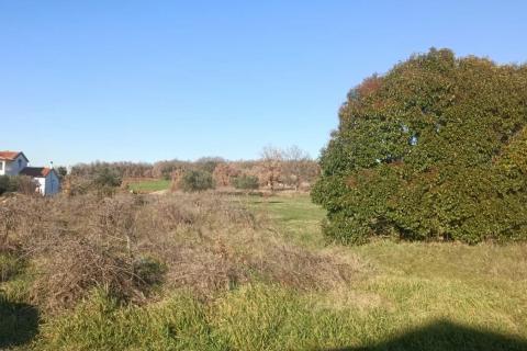 Bouwgrond Poreč okolica, Poreč, 626m2