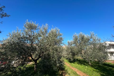 Istra, Kaštelir-Labinci, građevinsko zemljište sa pogledom