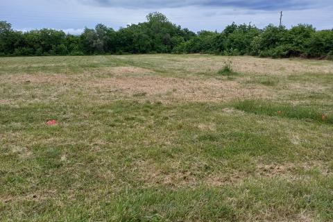 Istra, Krnica - građevinsko zemljište sa posebnim uvjetima