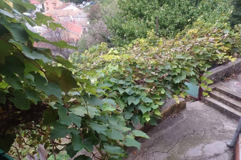 Wohnung Sušačka draga, Rijeka, 43,23m2