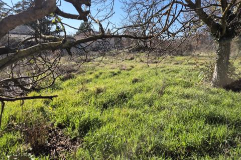 Building plot Rovinj, 940m2