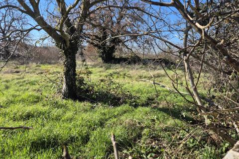 Istria,Rovinj,9km- Sošići building plot