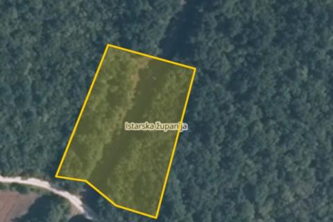 Krunčići, oranica i šuma