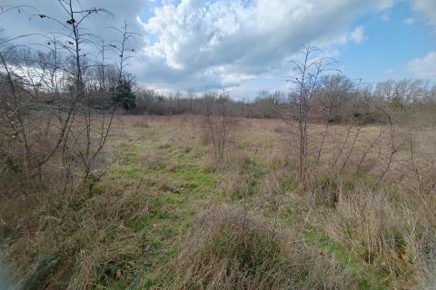 Niet bouwgrond Malinska, Malinska-Dubašnica, 8.560m2