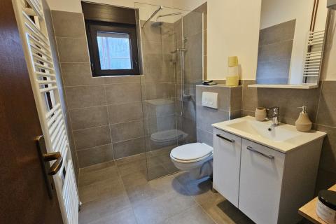 Hiša Brod na Kupi, Delnice, 252m2