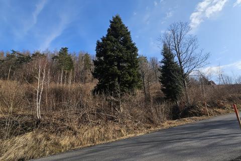 Stavbno zemljišče Fužine, 1.000m2