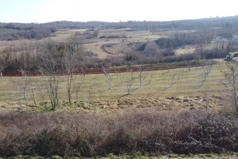 Building plot Velići, Vižinada, 3.006m2