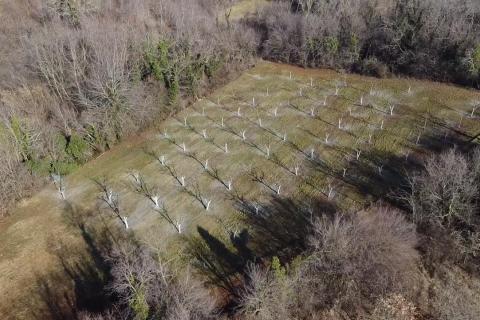 Building plot Vranići kod Višnjana, Višnjan, 3.676m2