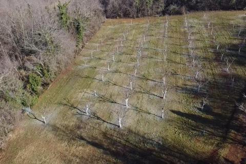 Building plot Vranići kod Višnjana, Višnjan, 3.676m2