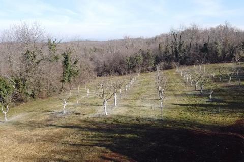 Building plot Vranići kod Višnjana, Višnjan, 3.676m2