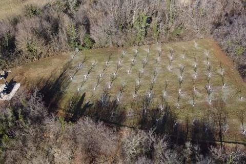 Building plot Vranići kod Višnjana, Višnjan, 3.676m2