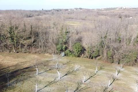 Building plot Vranići kod Višnjana, Višnjan, 3.676m2