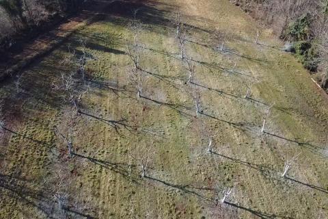 Building plot Vranići kod Višnjana, Višnjan, 3.676m2