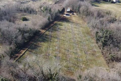 Building plot Vranići kod Višnjana, Višnjan, 3.676m2