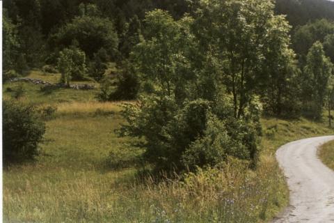 Bouwgrond Krivi Put, Senj, 5.000m2