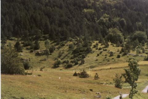 Bouwgrond Krivi Put, Senj, 5.000m2