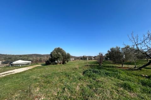 Rovinj, kućica sa velikom okućnicom od 3082 m2