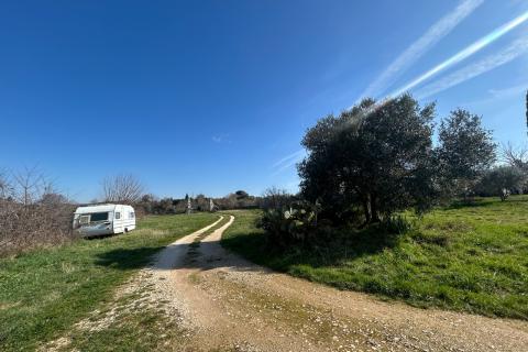 Rovinj, kućica sa velikom okućnicom od 3082 m2