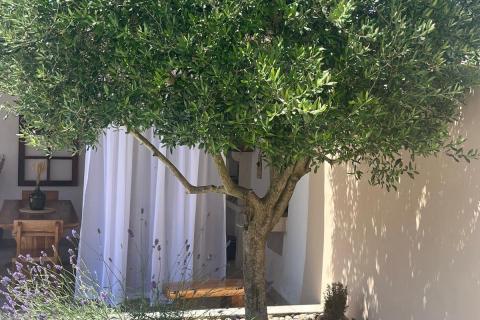 Lupoglav, Istra, kuća za odmor s bazenom