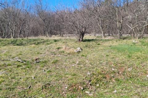 Rijeka, Cernik - kuća 320 m2 s okućnicom 3400 m2