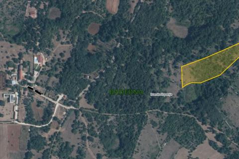 Istra, Baderna - pašnjak 8421 m2